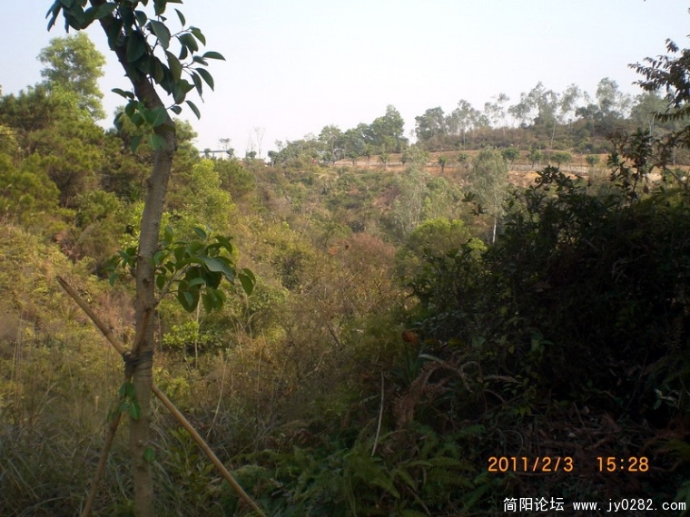 CIMG8613.JPG