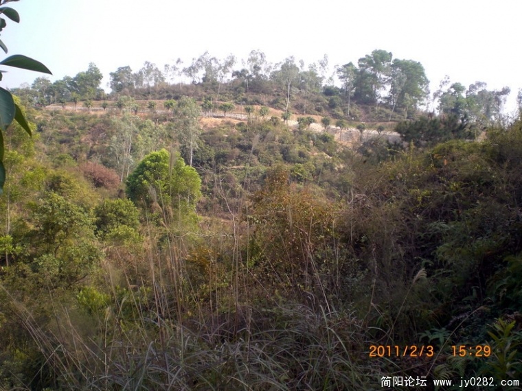 CIMG8616.JPG