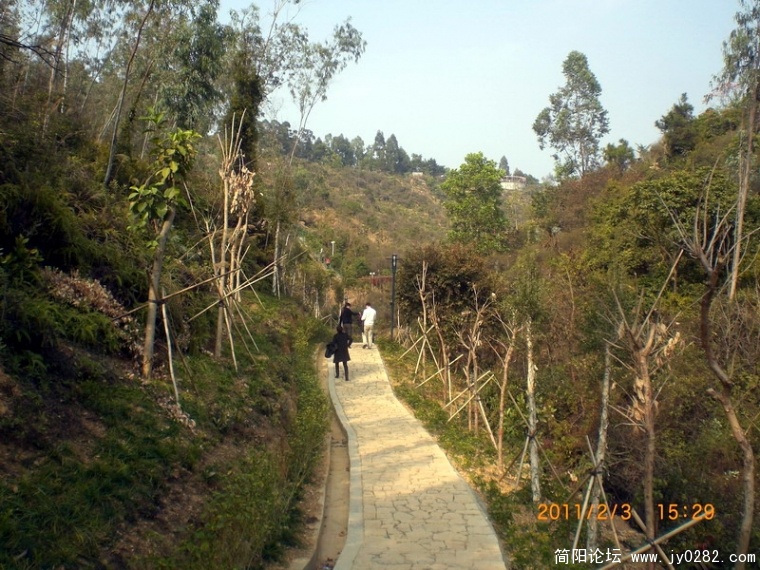 CIMG8617.JPG
