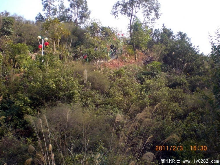 CIMG8620.JPG