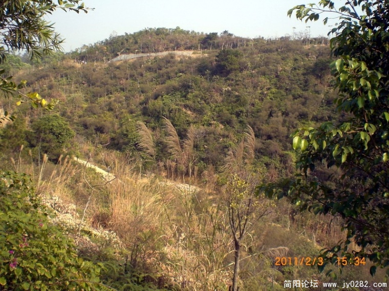 CIMG8631.JPG