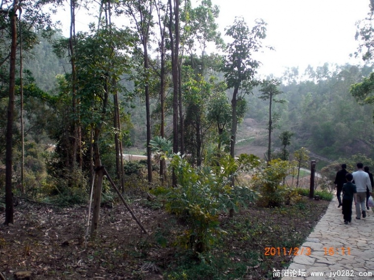 CIMG8674.JPG