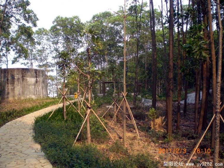 CIMG8673.JPG