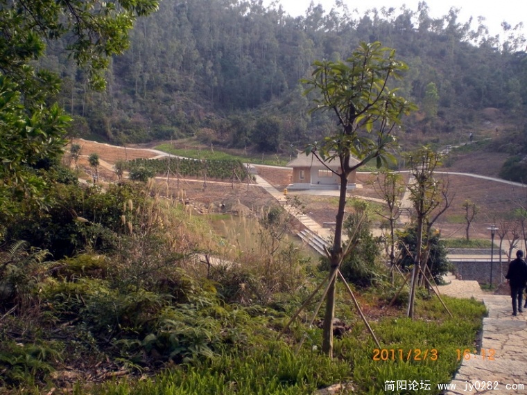 CIMG8675.JPG