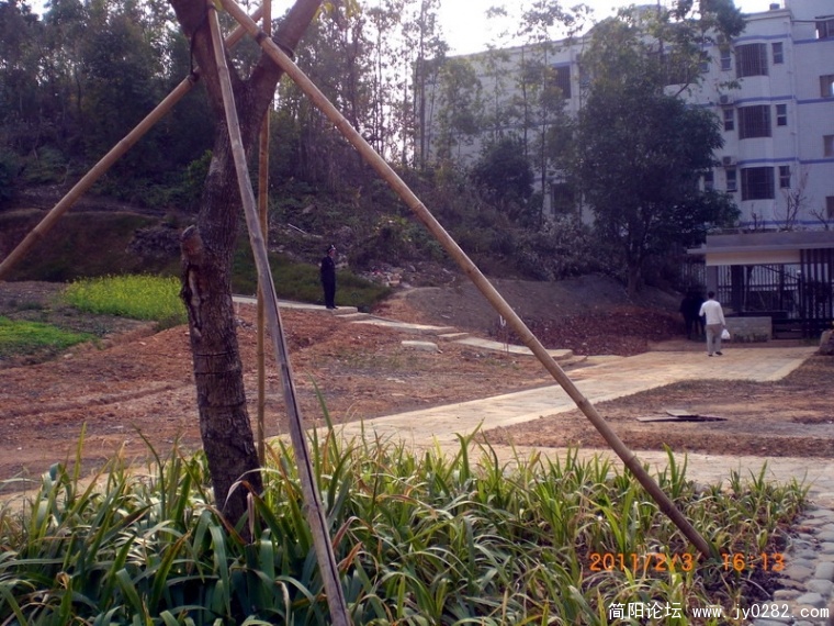 CIMG8681.JPG