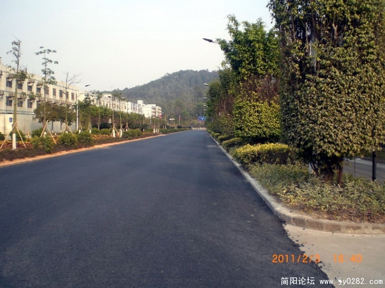 CIMG8695.JPG