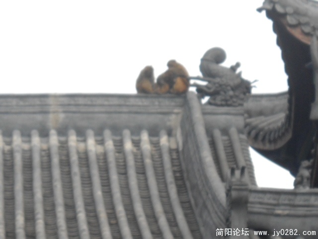 DSCN0631.JPG