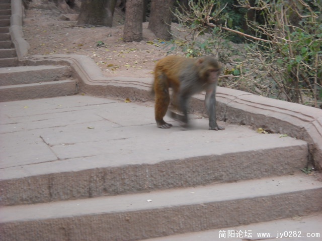 DSCN0637.JPG