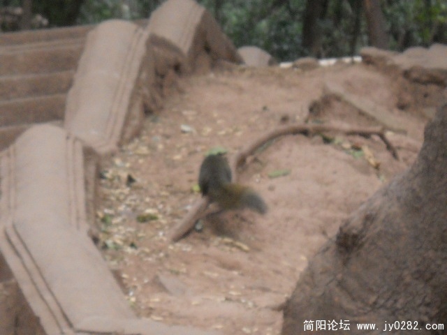 DSCN0641.JPG