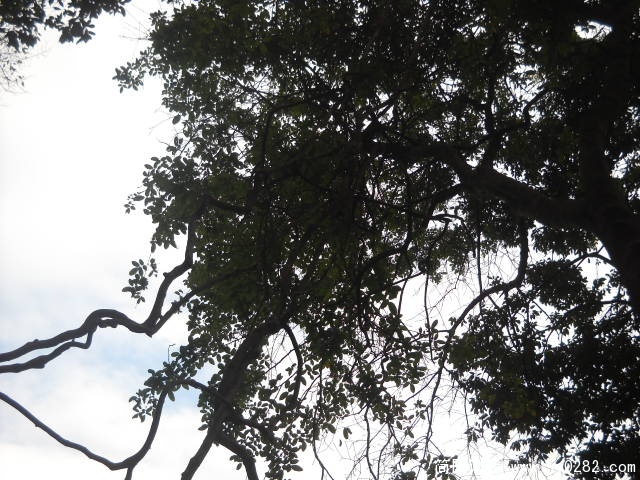 DSCN0645.JPG