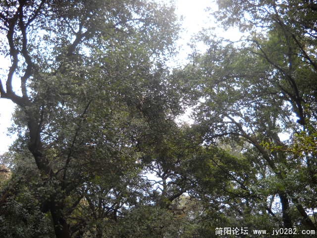 DSCN0665.JPG
