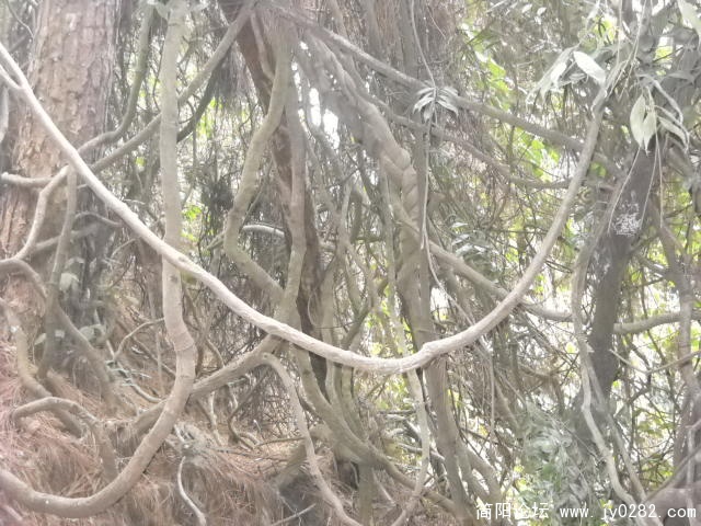 DSCN0668.JPG