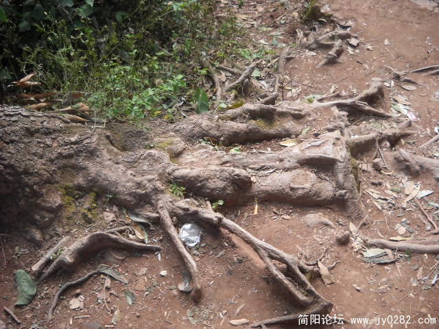 DSCN0695.JPG