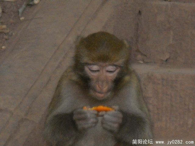 DSCN0720.JPG