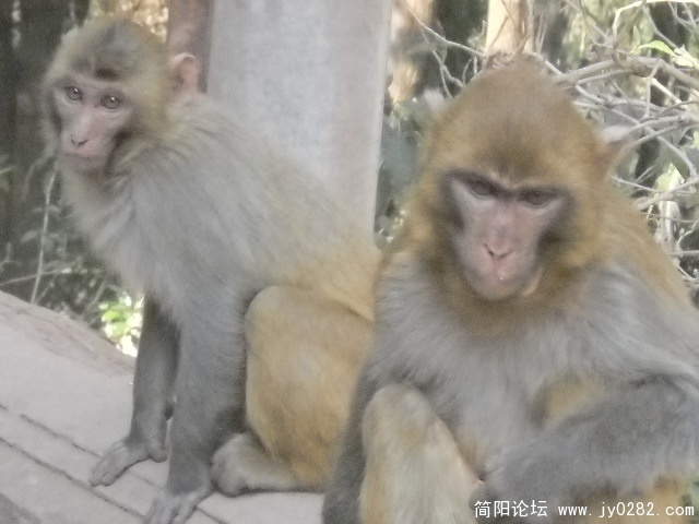DSCN0733.JPG
