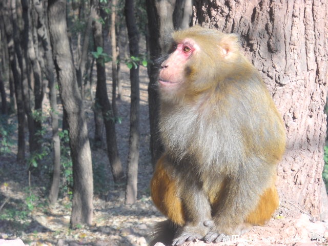 DSCN0729.JPG