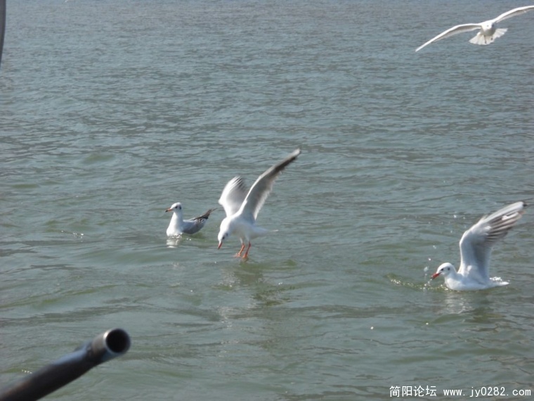 DSCN0795.JPG