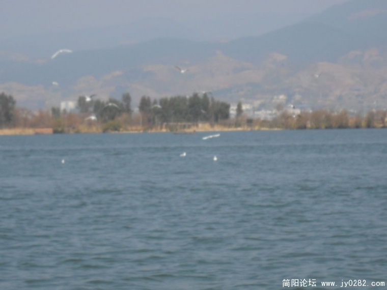 DSCN0782.JPG