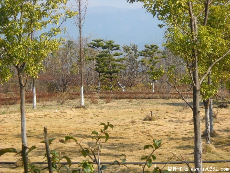 DSCN0832.JPG