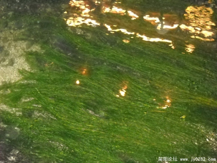 DSCN0903.JPG