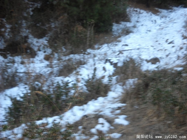 DSCN0976.JPG