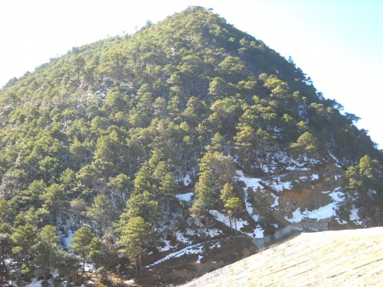 DSCN1010.JPG