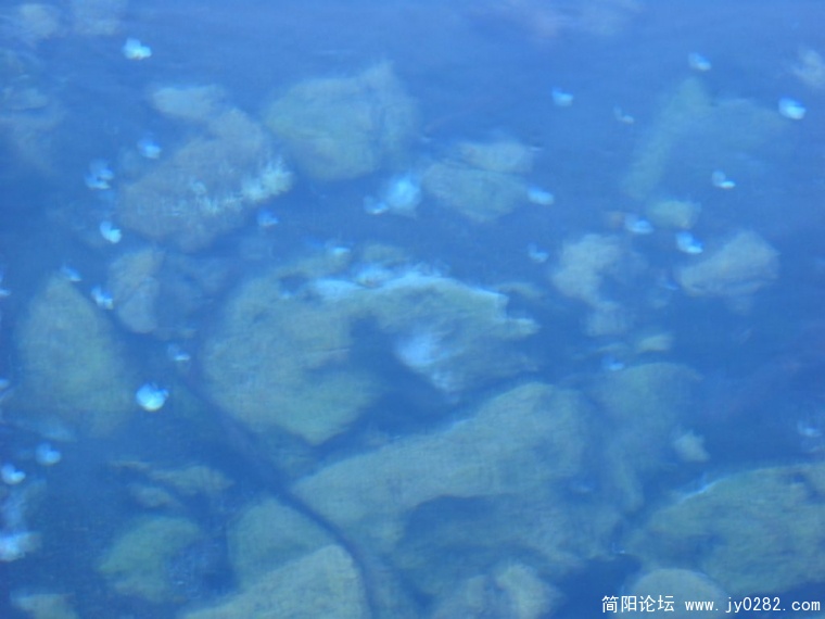 DSCN1146.JPG