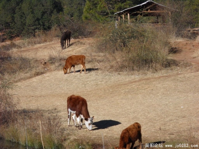 DSCN1150.JPG