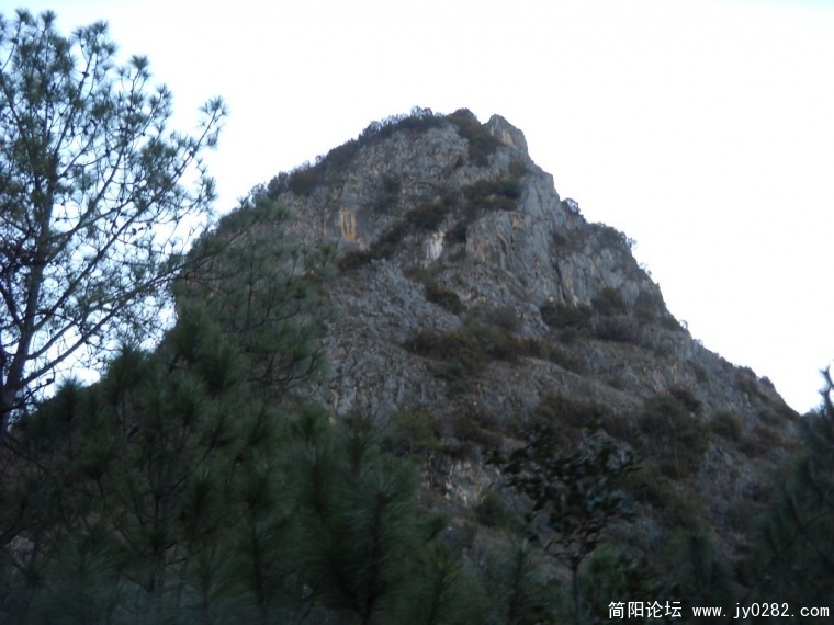 DSCN1172.JPG