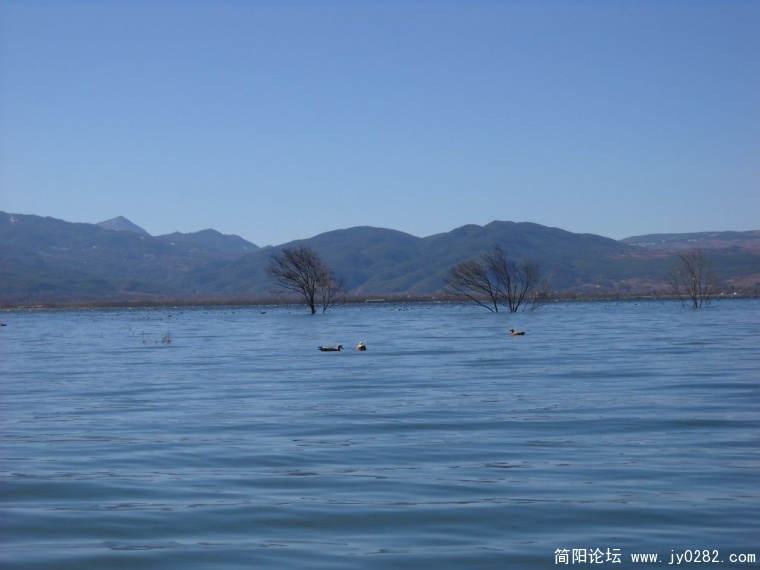 DSCN1208.JPG