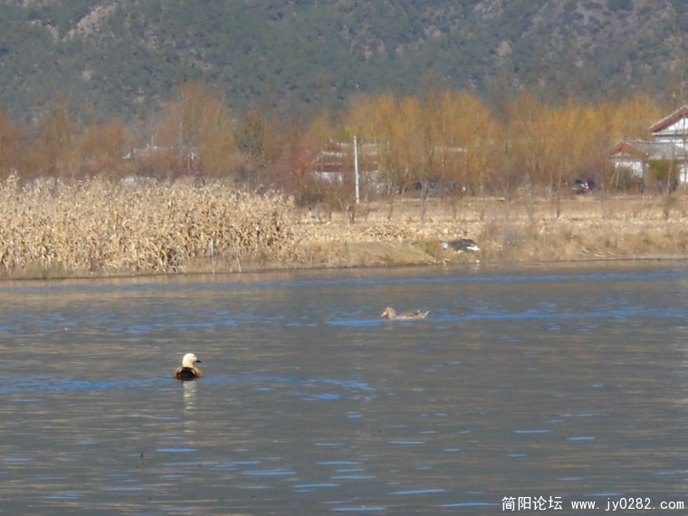 DSCN1191.JPG