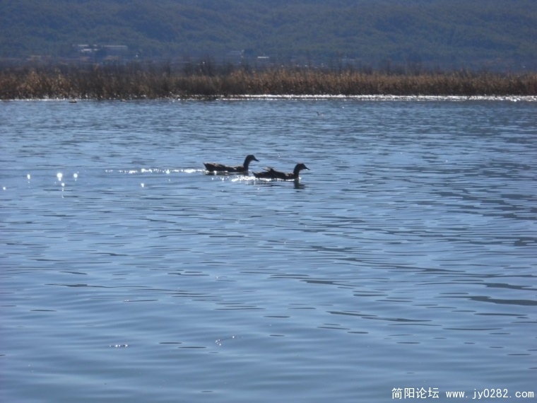 DSCN1200.JPG