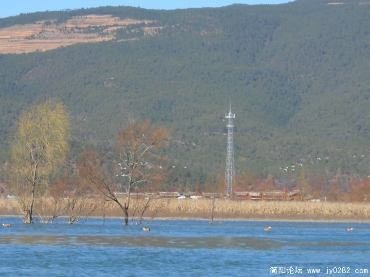 DSCN1225.JPG