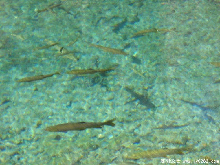 DSCN1337.JPG