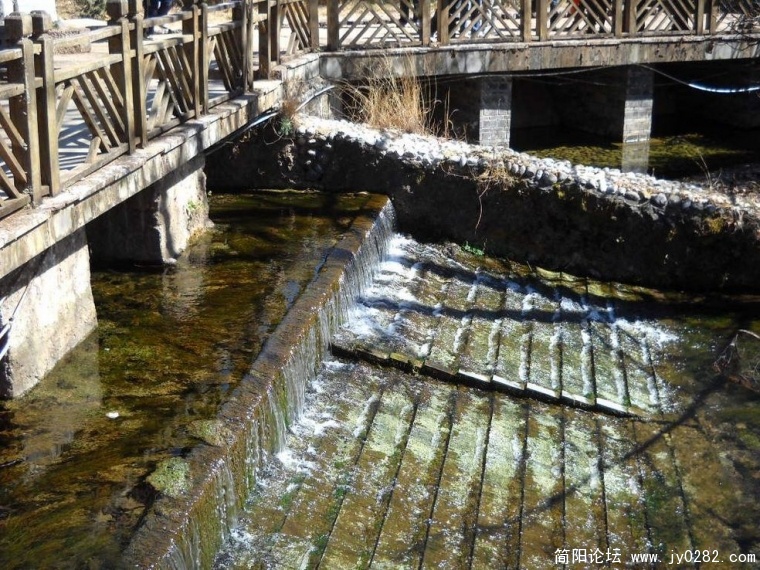 DSCN1317.JPG