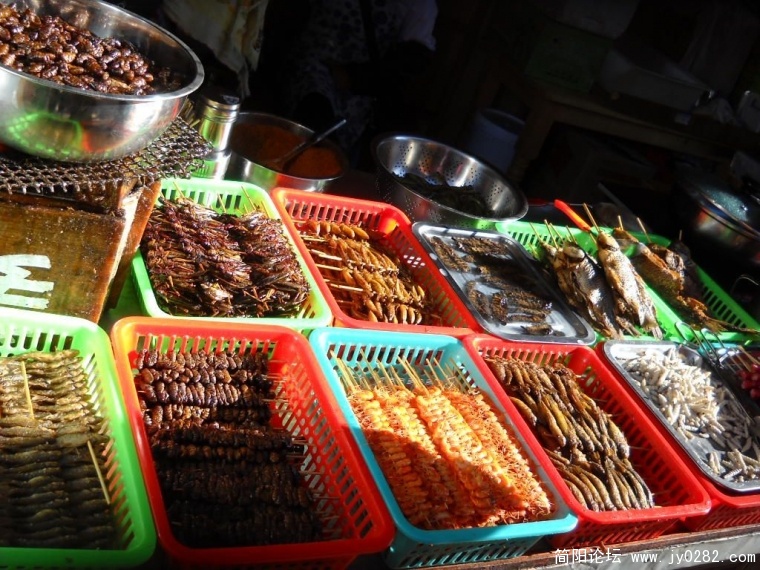 DSCN1434.JPG