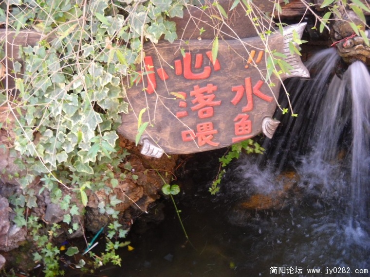 DSCN1492.JPG