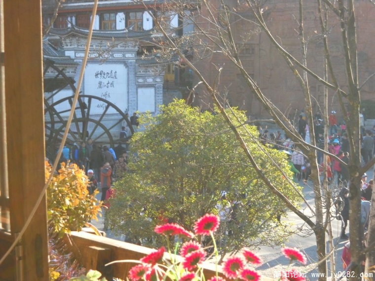 DSCN1517.JPG