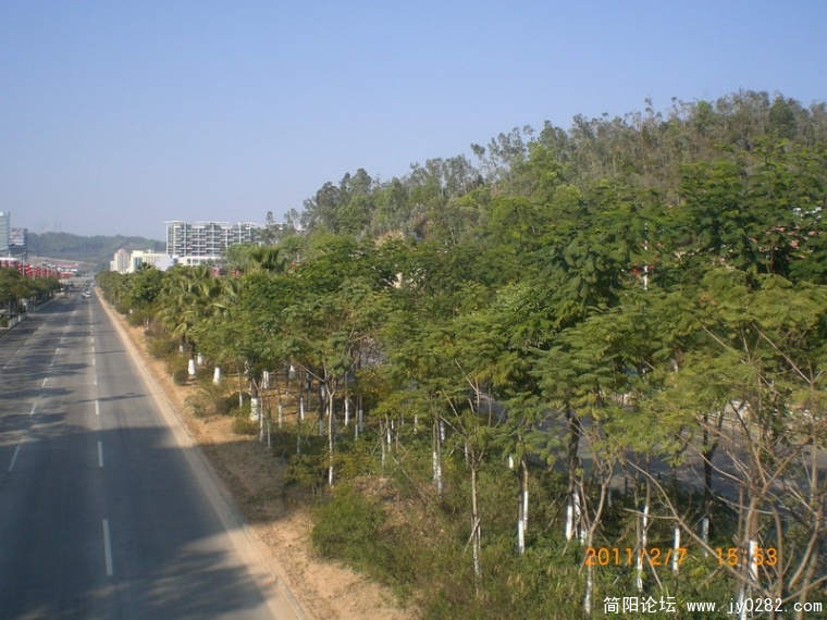 CIMG8786.JPG