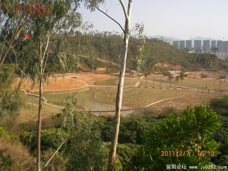CIMG8800.JPG