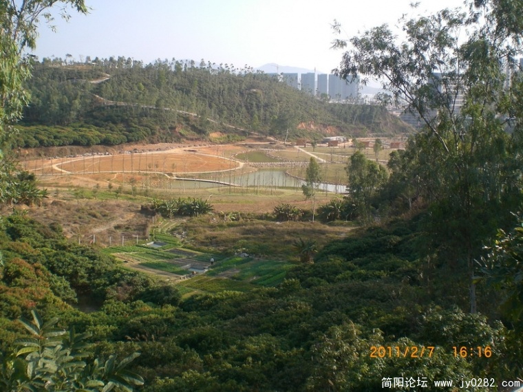 CIMG8804.JPG