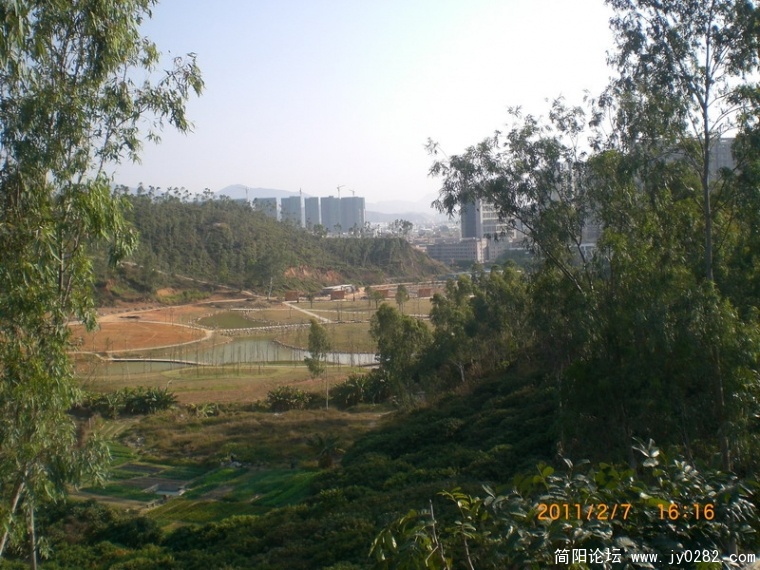 CIMG8805.JPG