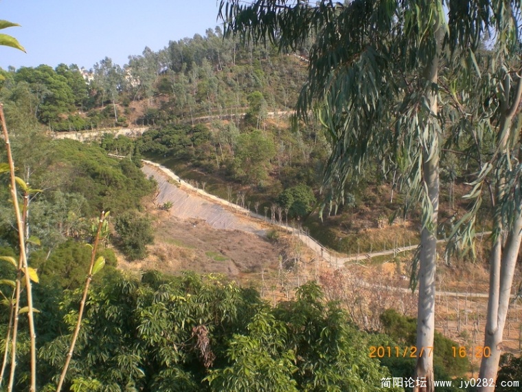 CIMG8810.JPG