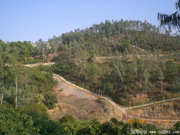 CIMG8811.JPG