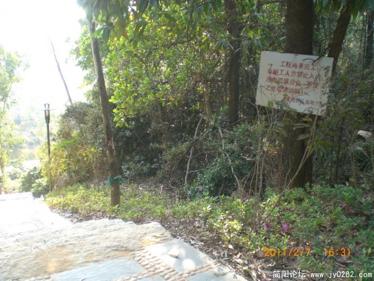 CIMG8819.JPG