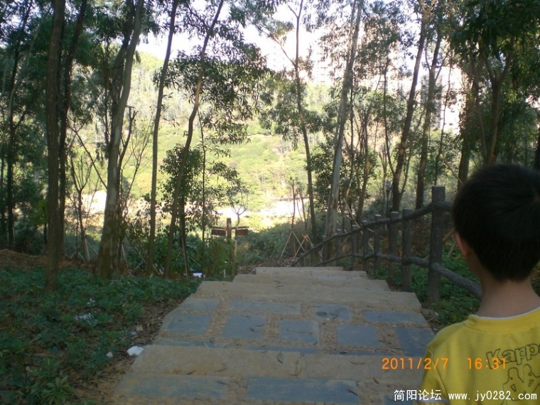 CIMG8820.JPG