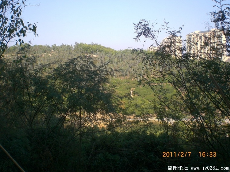 CIMG8823.JPG