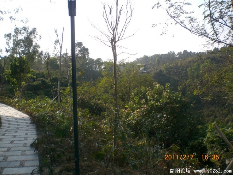 CIMG8825.JPG