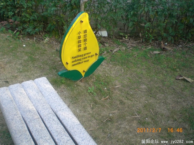 CIMG8840.JPG