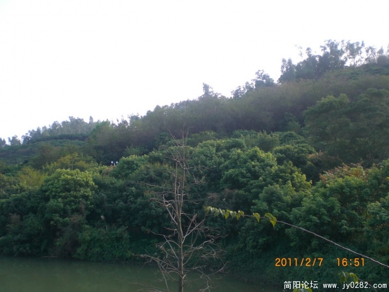 CIMG8844.JPG